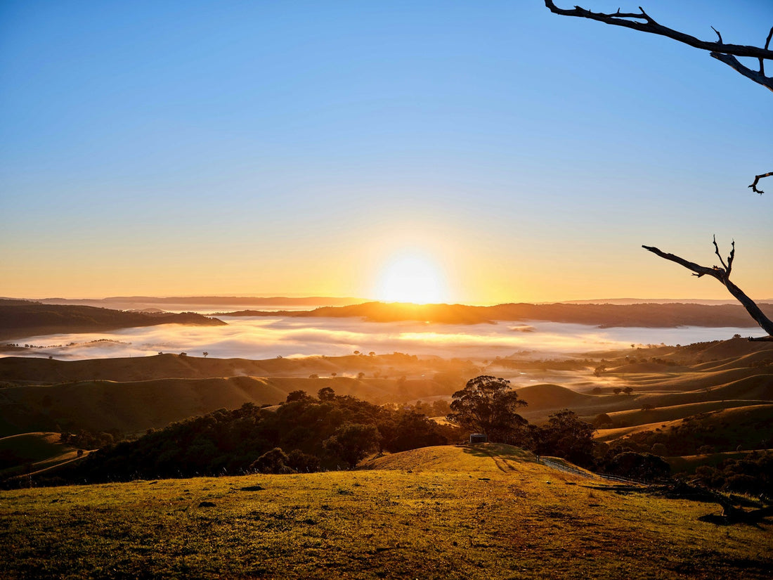 Why Sunlight — Not Just Supplements — Powers Your Mitochondria