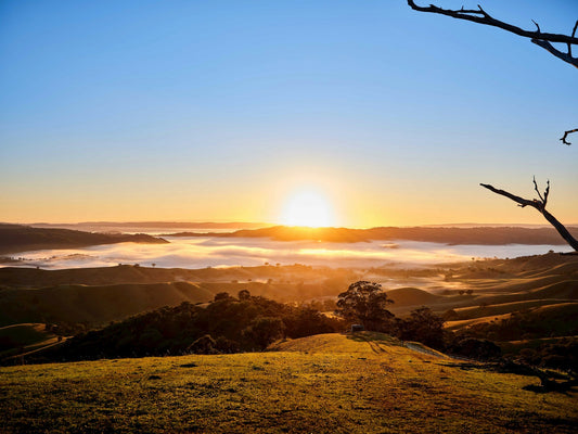 Why Sunlight — Not Just Supplements — Powers Your Mitochondria